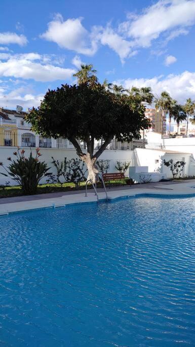 Precioso Apartamento Frente A La Playa Torre Del Mar Ngoại thất bức ảnh